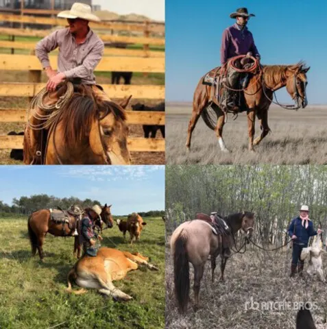 N4 Ranch