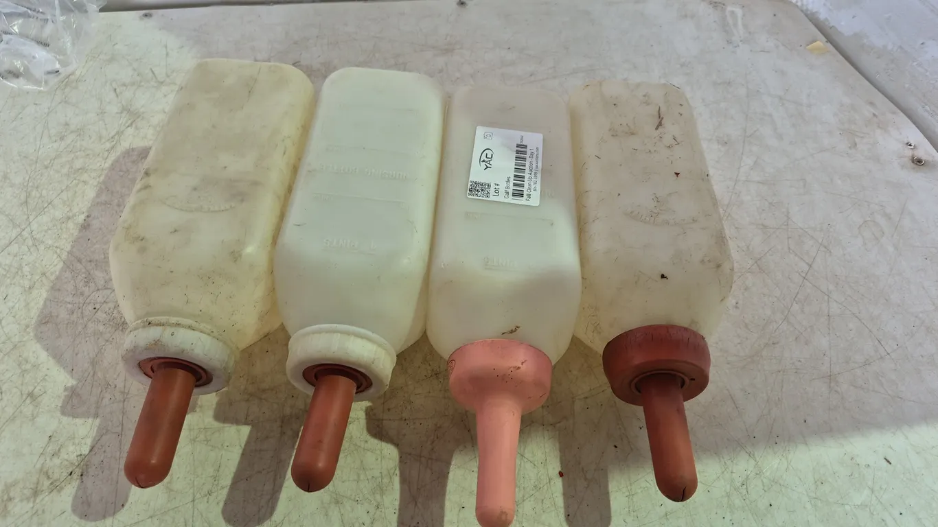 Calf Bottles