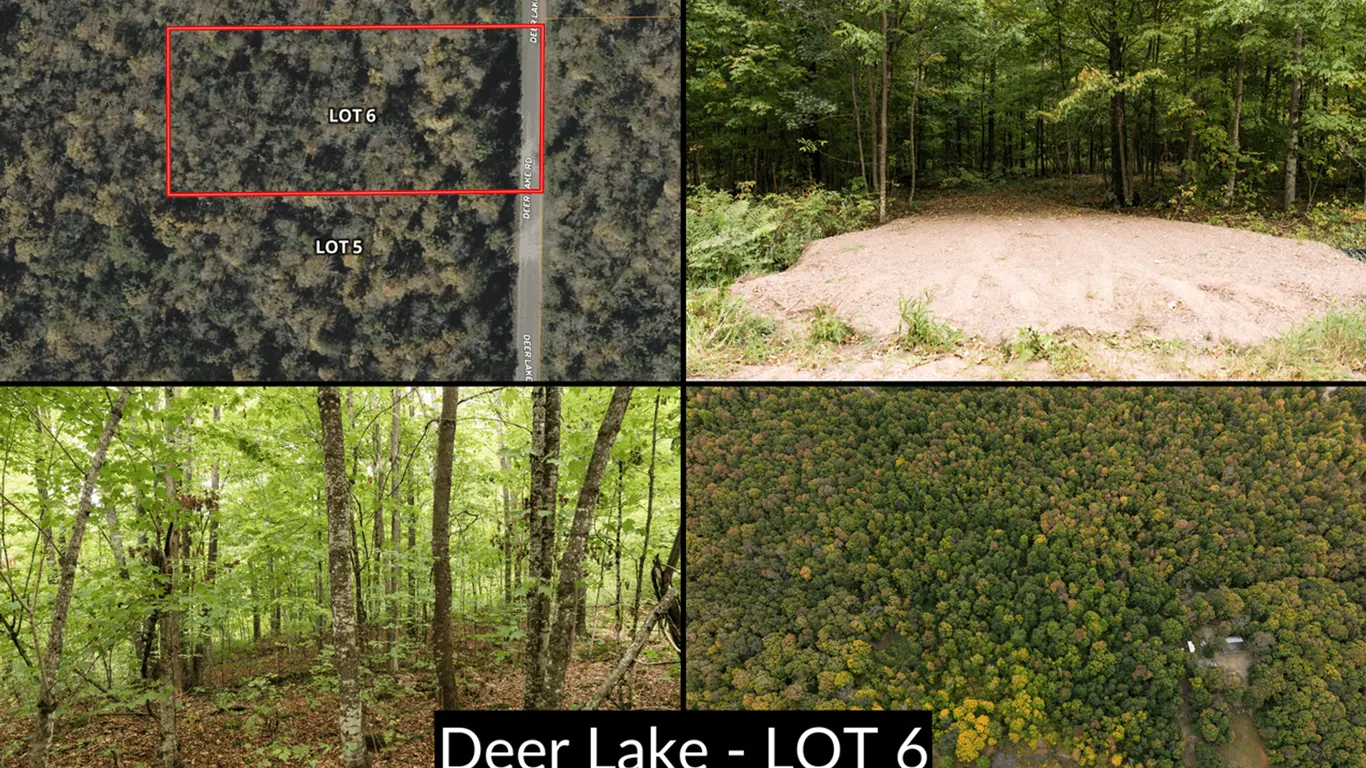 Lot 6