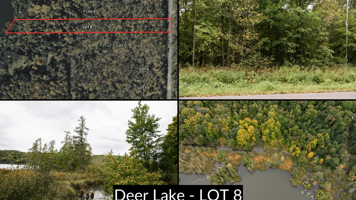 Lot 8