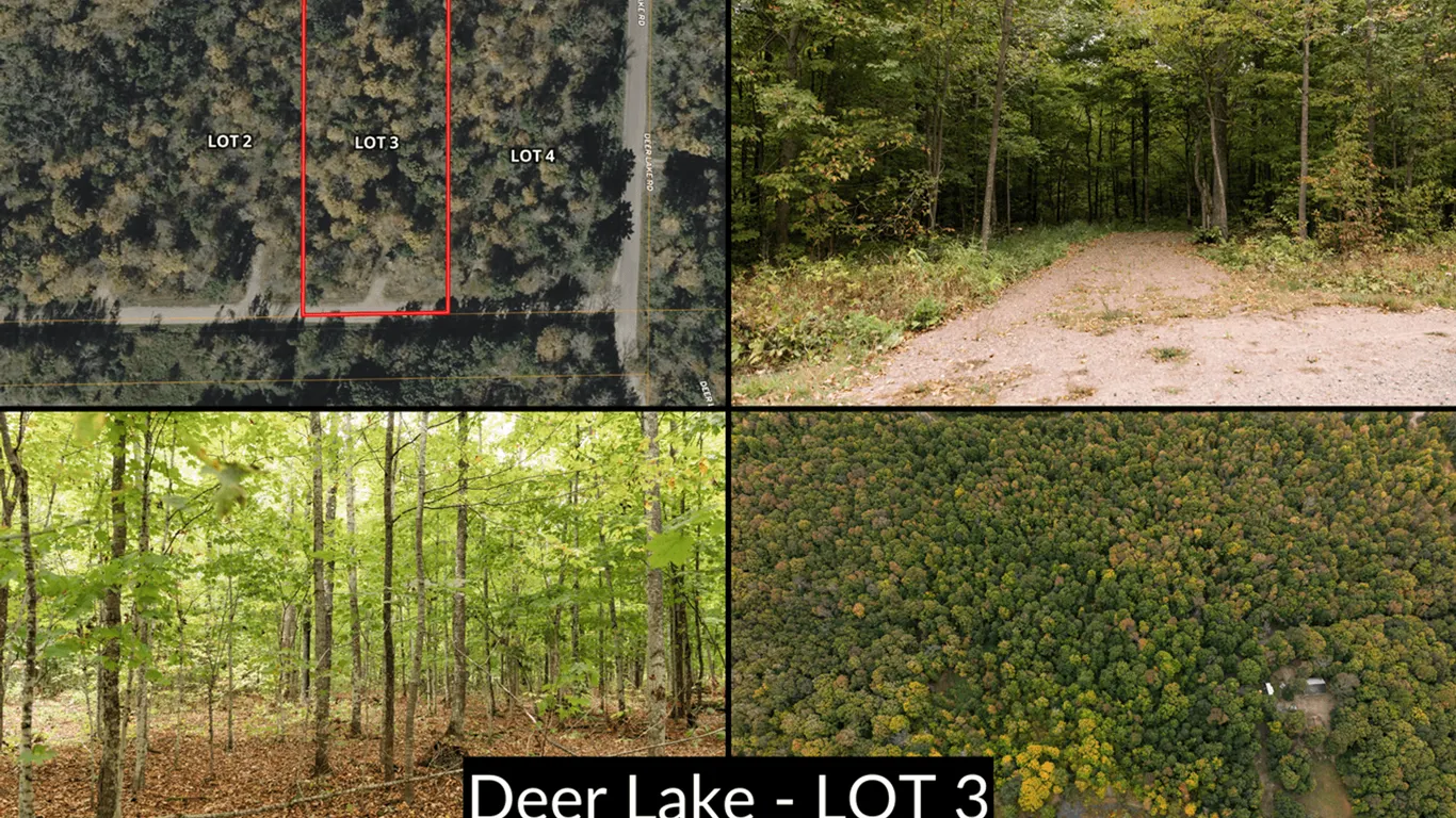 Lot 3