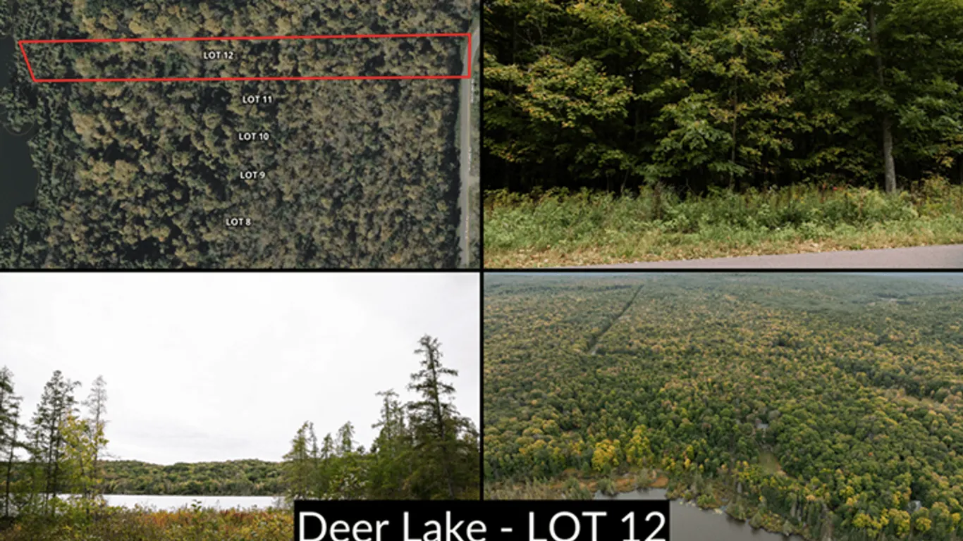 Lot 12