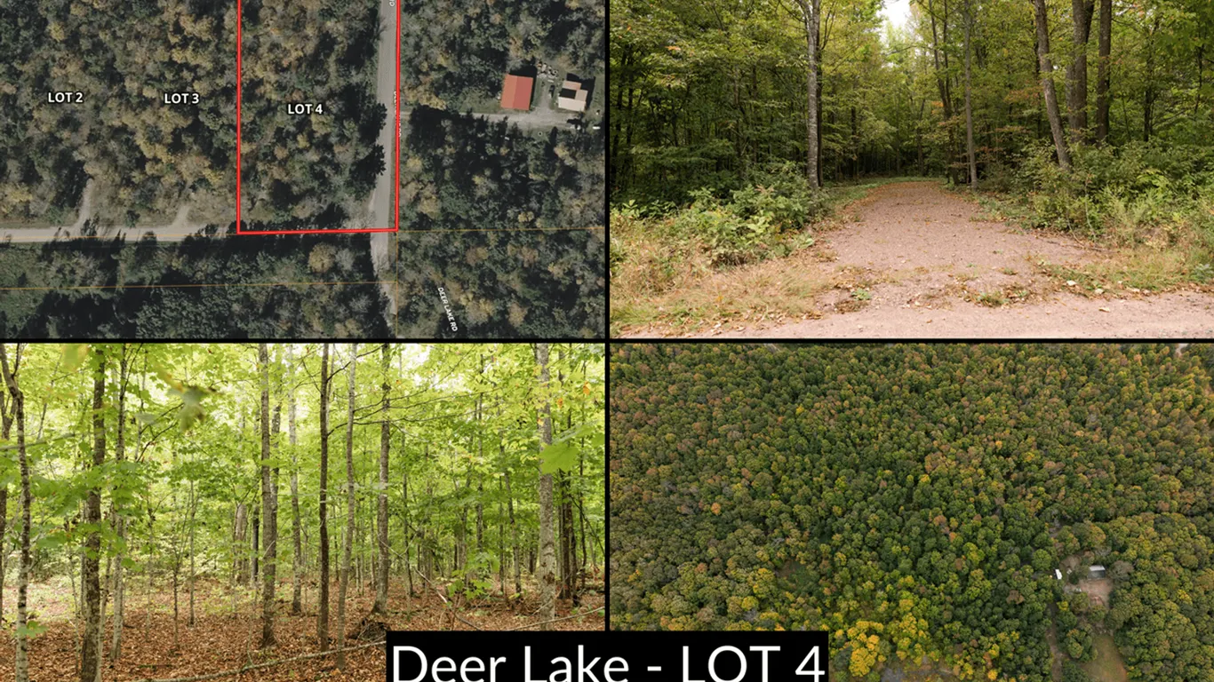 Lot 4