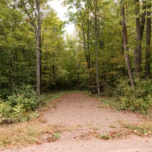 Lot 4