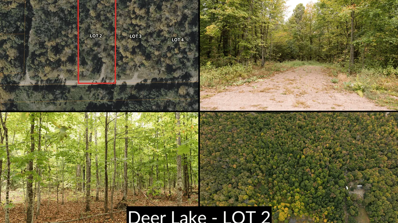 Lot 2