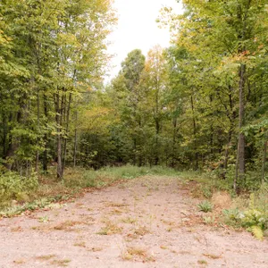 Lot 2