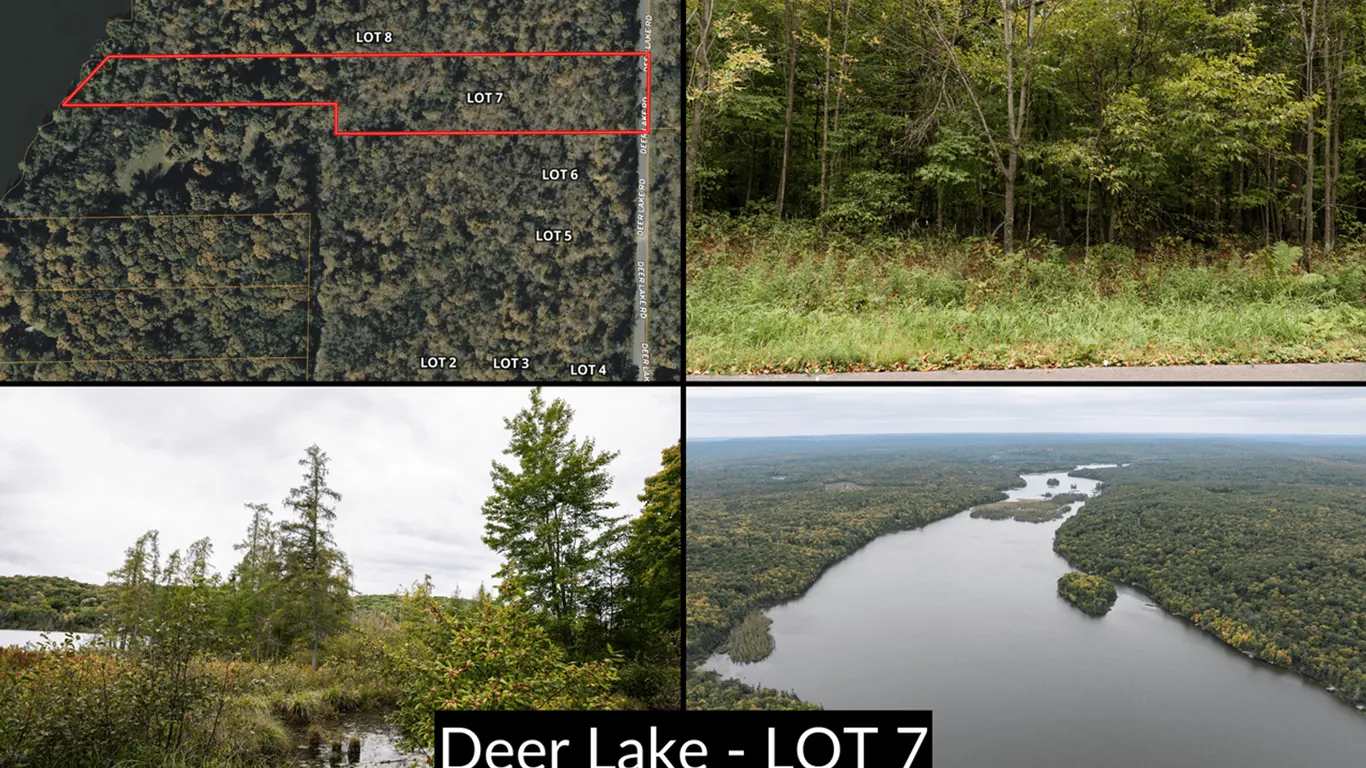 Lot 7