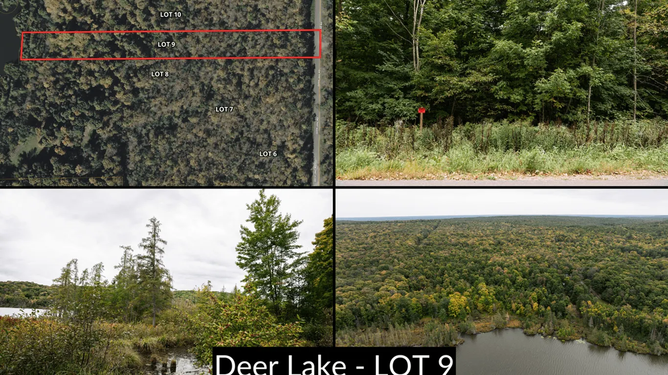Lot 9