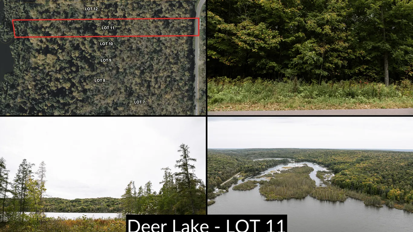 Lot 11