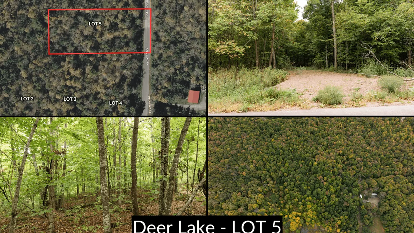 Lot 5