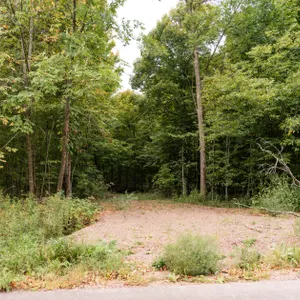 Lot 5