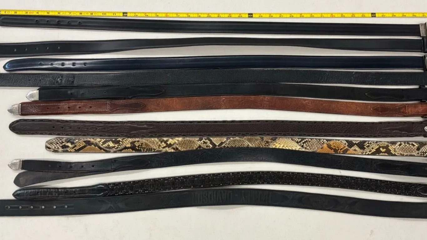 Cowboy to Boardroom Belt Collection