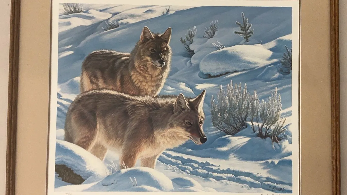 Paul Krapf Trackers 1984 Signed and Numbered Coyote Print 362 of 950