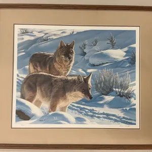 Paul Krapf Trackers 1984 Signed and Numbered Coyote Print 362 of 950 - Framed 23 x 27