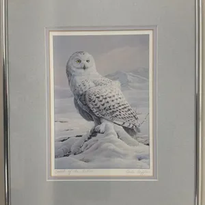 Luke Raffin "Spirit of the Arctic" Snowy Owl Print, Signed, Framed 10" x 12"