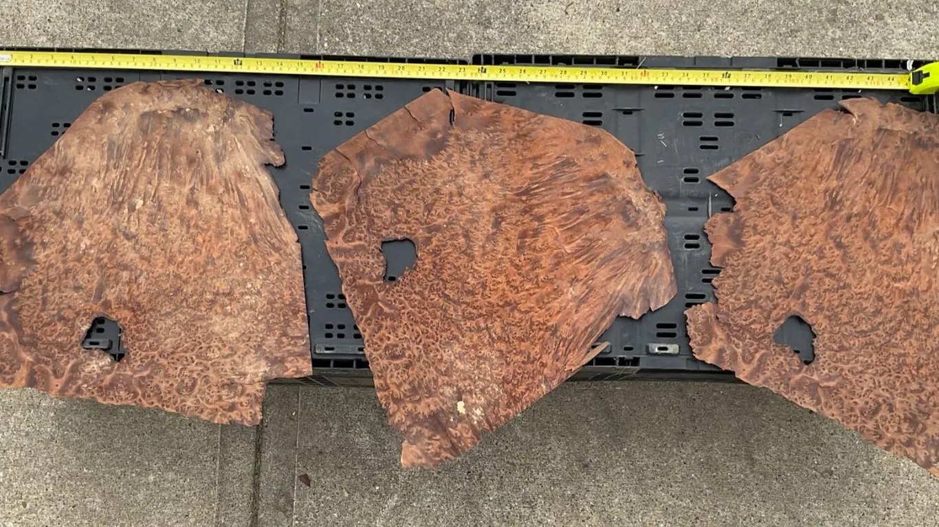 12 Redwood Burl Veneer Sheets, Including 3 Matched Pieces, Figured Wood Grain
