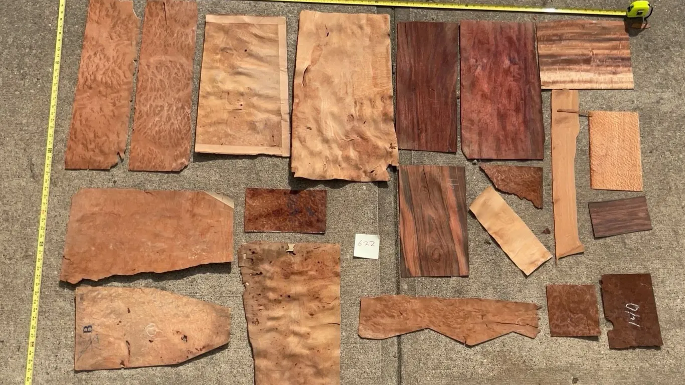 Approx 20 Pieces Assorted Wood Veneers, Various Species and Grain Patterns