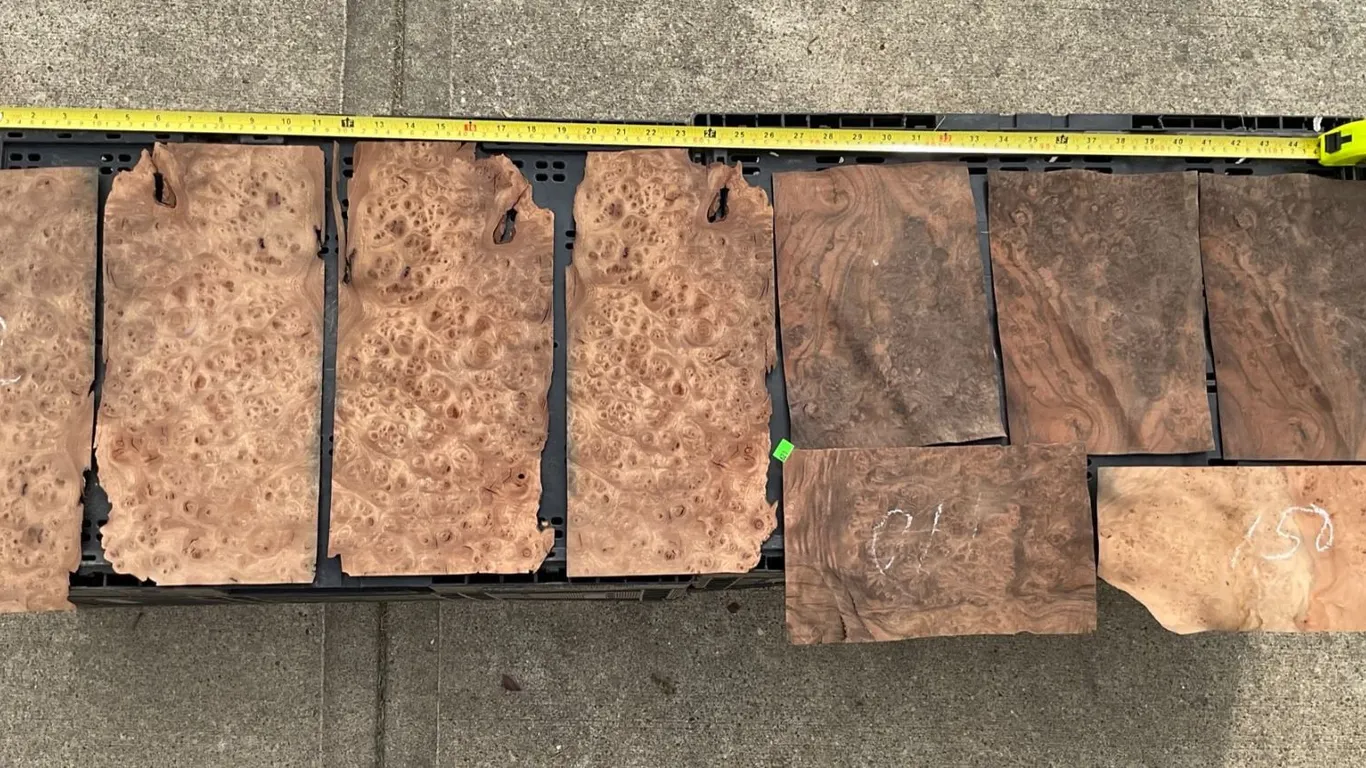 Maple Burl Veneer Sheets, Lot of at Least 8 Pieces, Various Sizes
