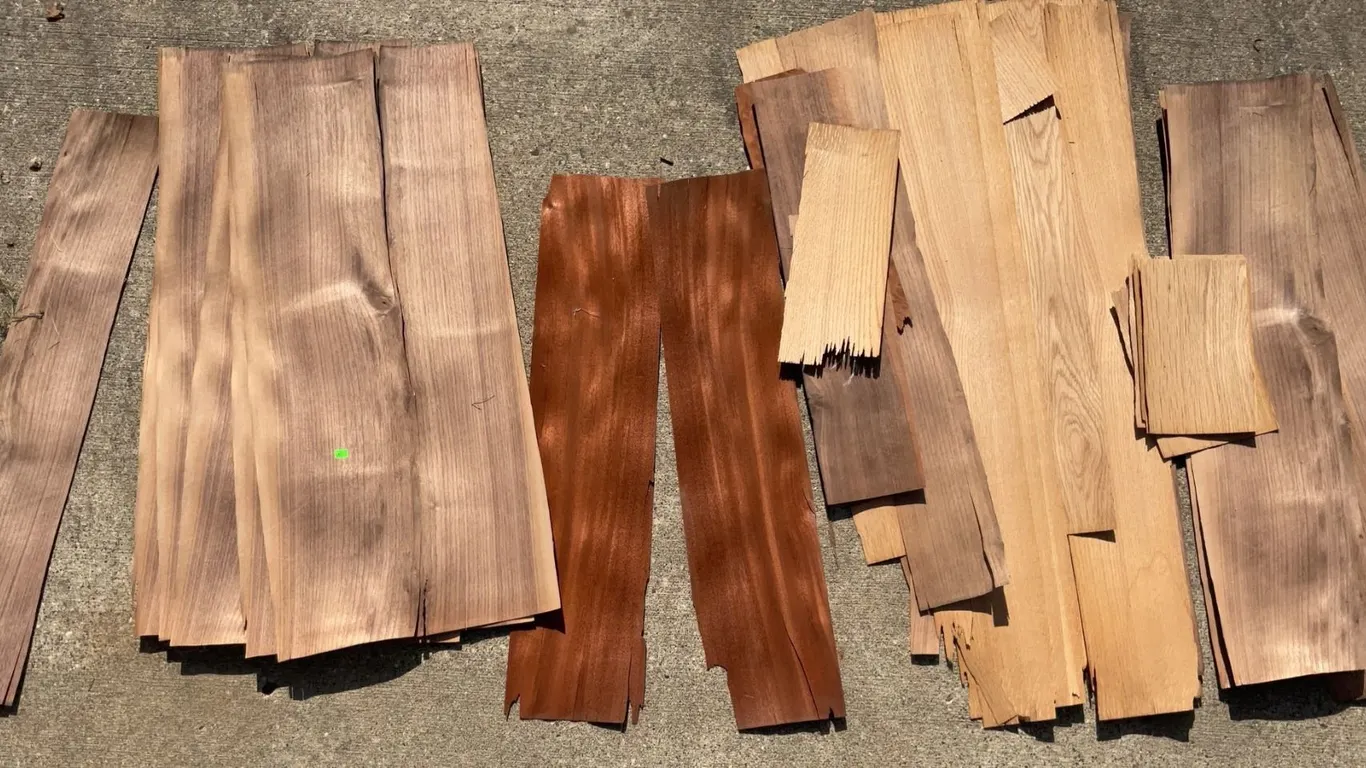 Hardwood Veneer Offcuts — Assorted Species, Longest Pieces Approx 3 Feet