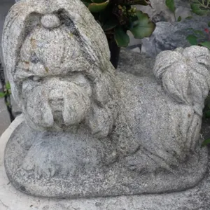 Shih Tzu Dog in Concrete