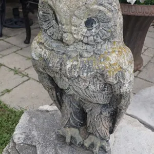 Concrete Owl