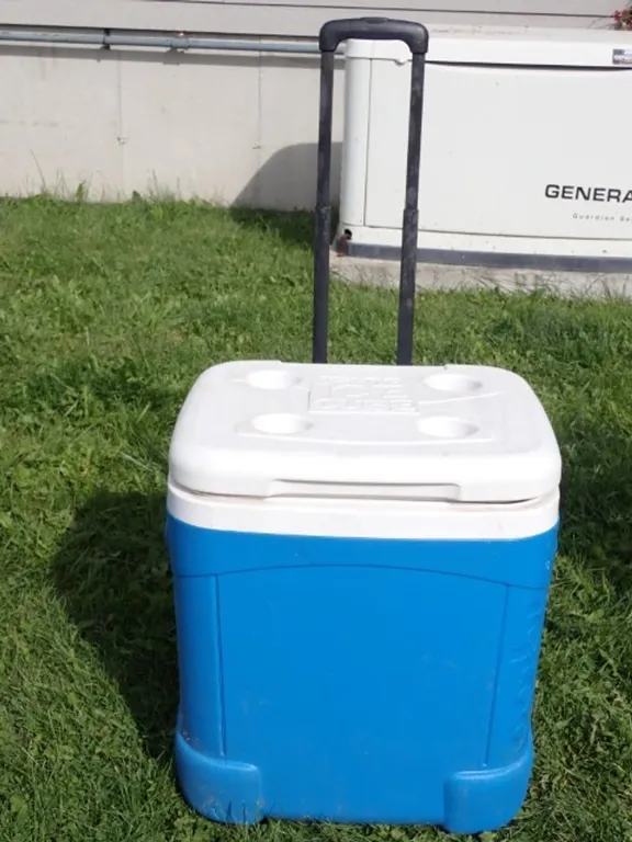 Igloo Cooler