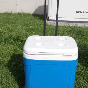Igloo Cooler