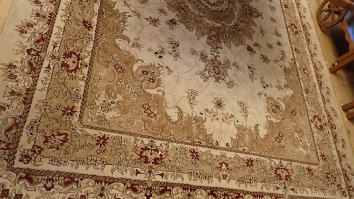 Area Rug 8 x 11