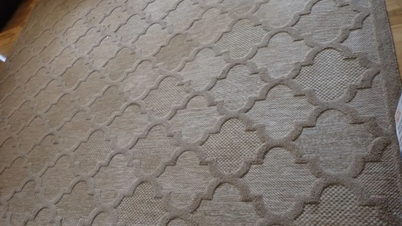 Beige Indoor Outdoor Rugs