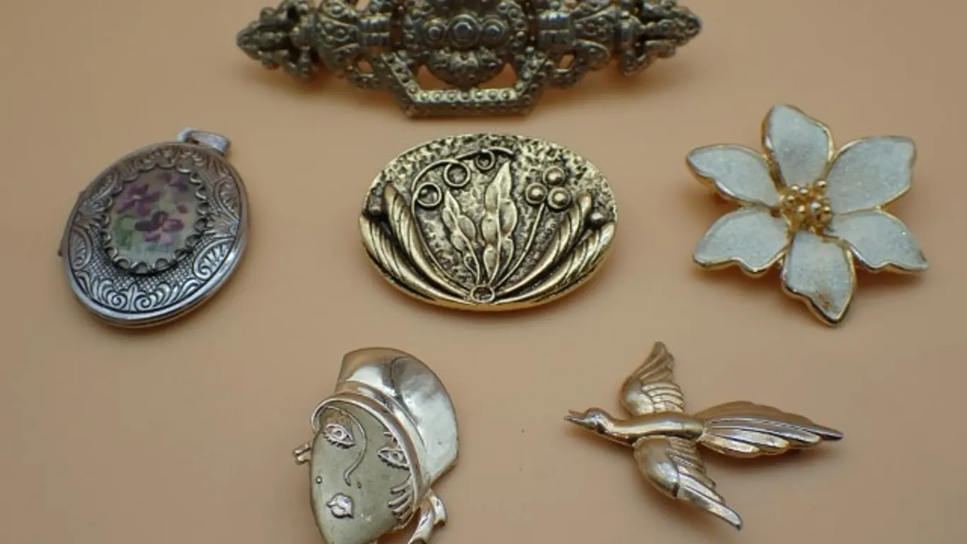 Pins and Clips and Pendant