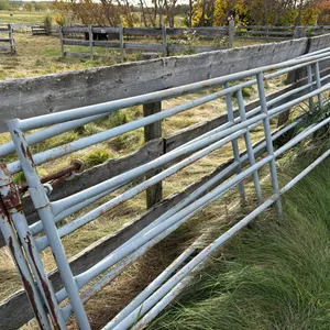 16’ Gates x 3