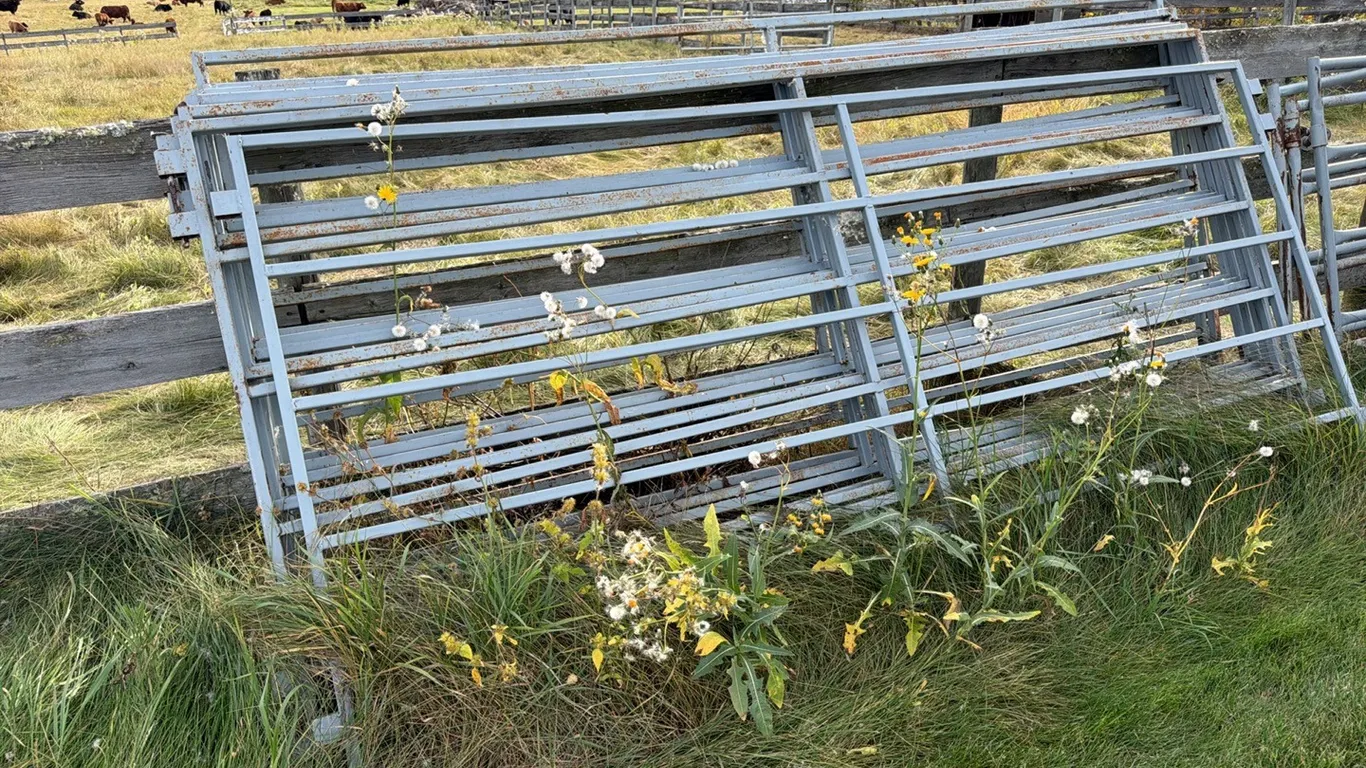 10’ Livestock Panels