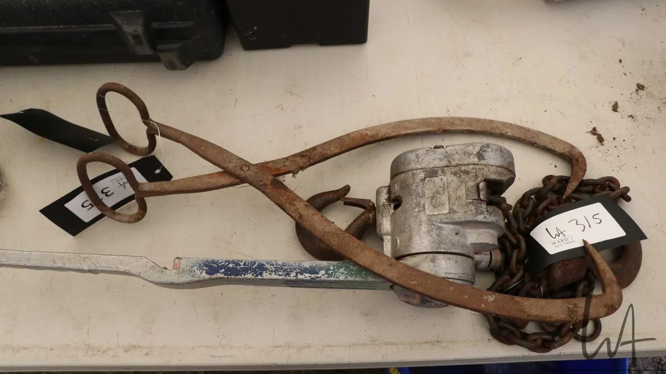 Columbus McKinnon chain hoist and pair of ice/ logging tongs