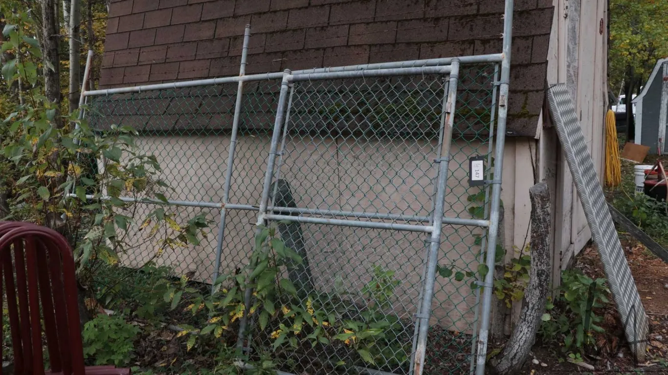 Section of chain link fence, 142"w x 84" h including barb wire section, plus a 46"w gate
