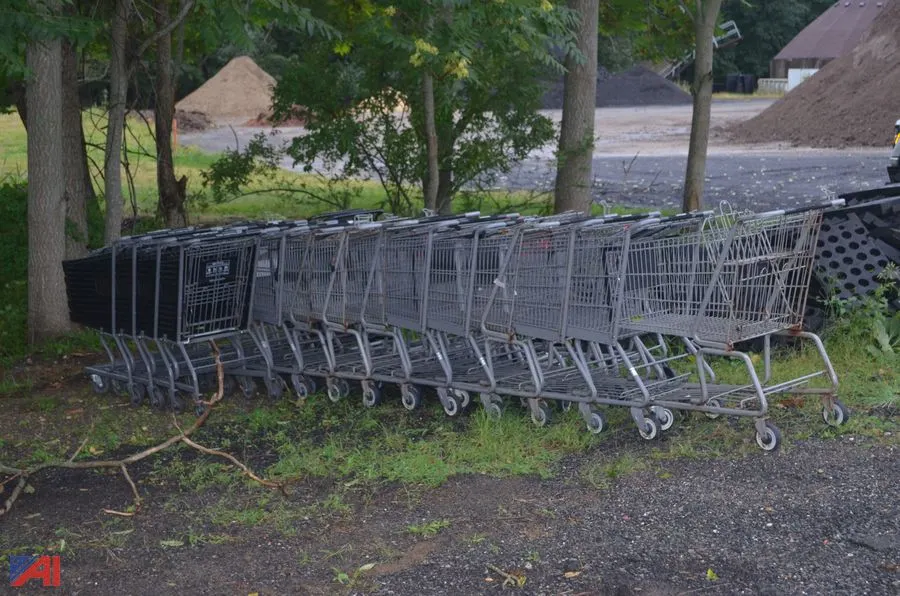 (26) Shopping Carts