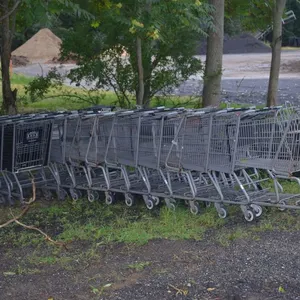 (26) Shopping Carts