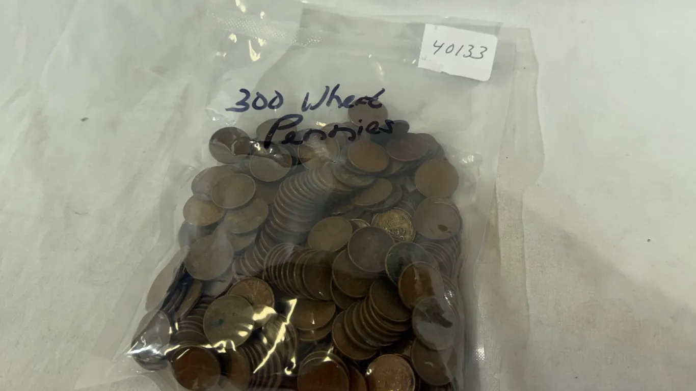 (300) WHEAT PENNIES