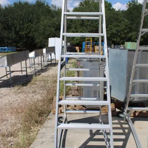 Dual Side Step Ladder