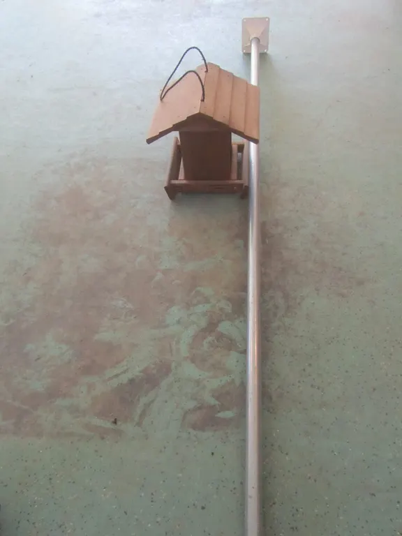 Bird Feeder W/Squirrel Guard And Stand