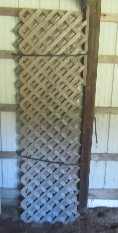 Lot Of Wood Garden Trellis