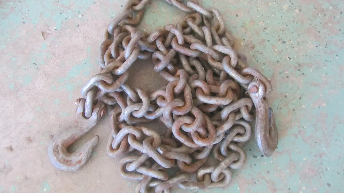 12' Of Chain w/Hooks