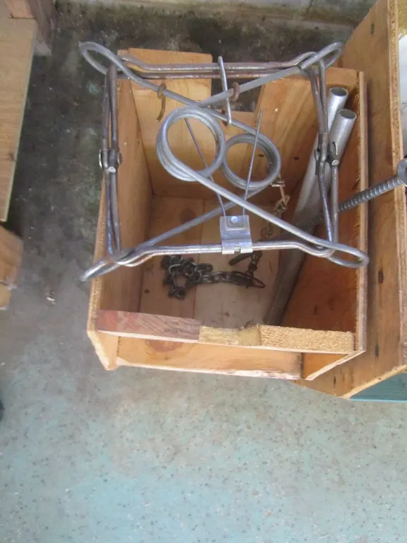 Conibear Trap