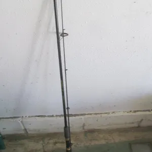Mitchell Series 6' 2pc. Fishing Rod