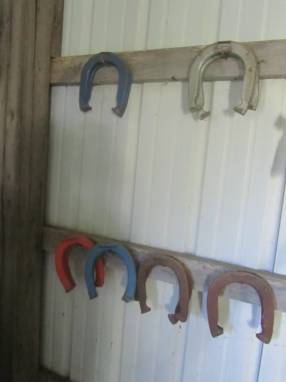 Lot Of Horseshoes