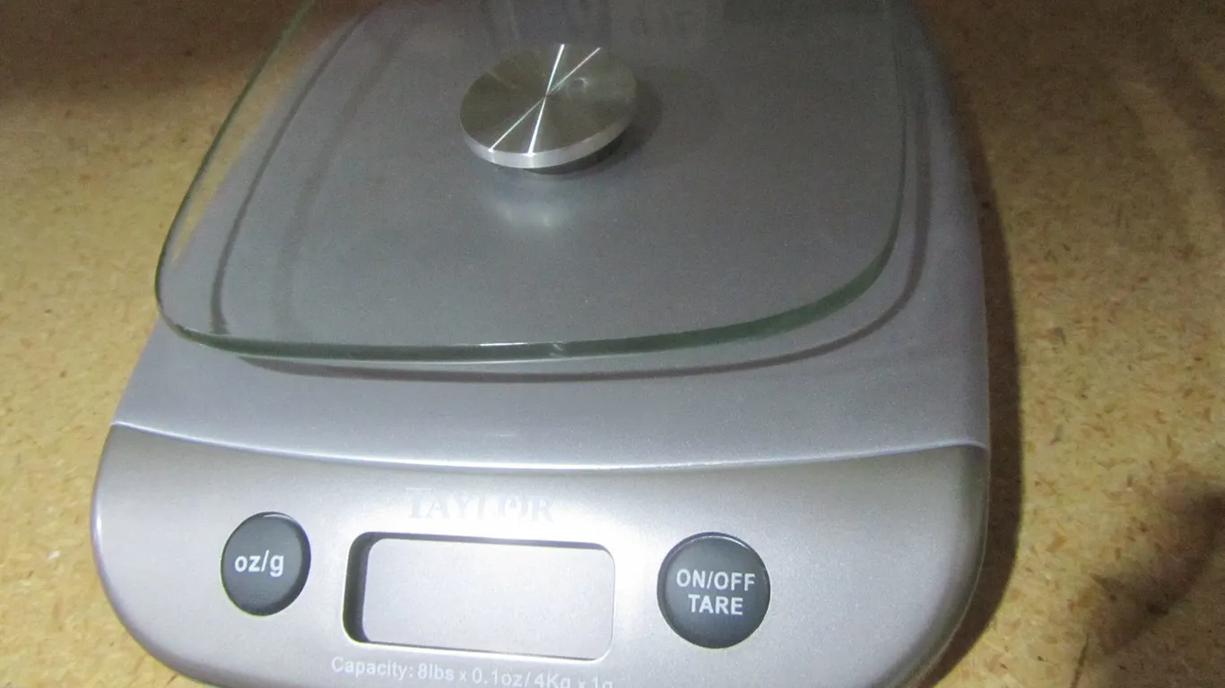 Taylor Food Scale