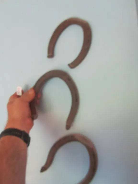 (3) Horseshoes