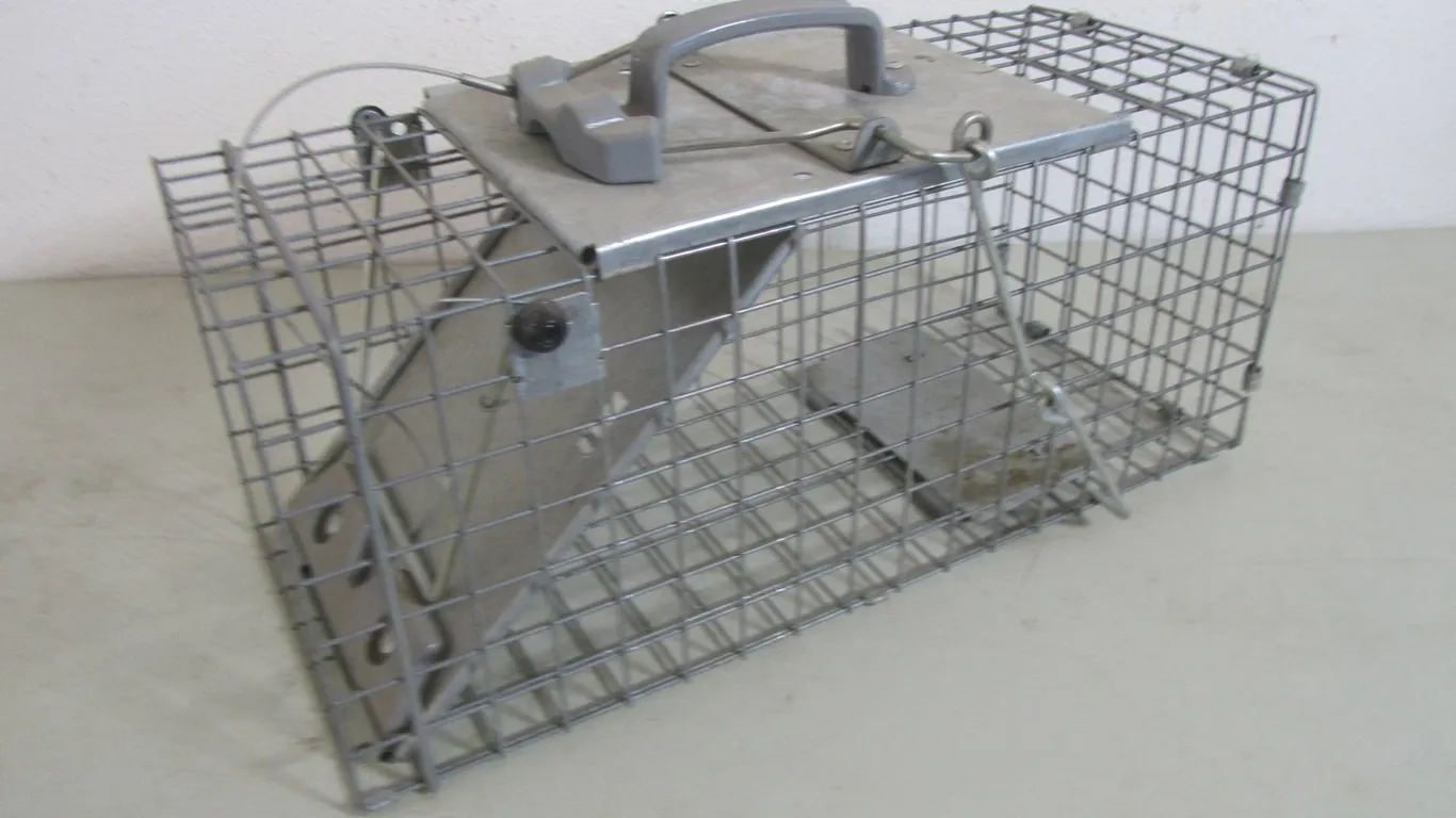 Havahart Animal Trap