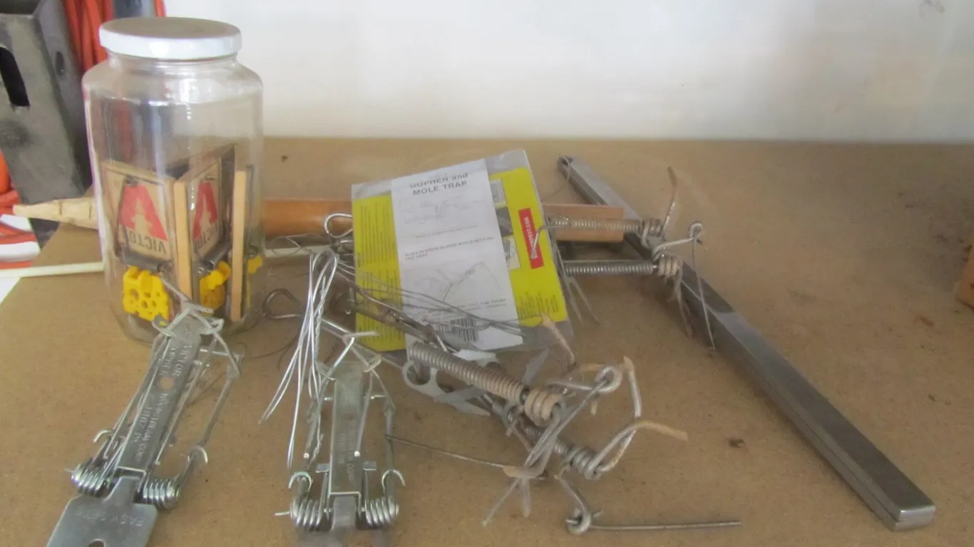 Victor Gopher Traps, Mouse Traps, And More