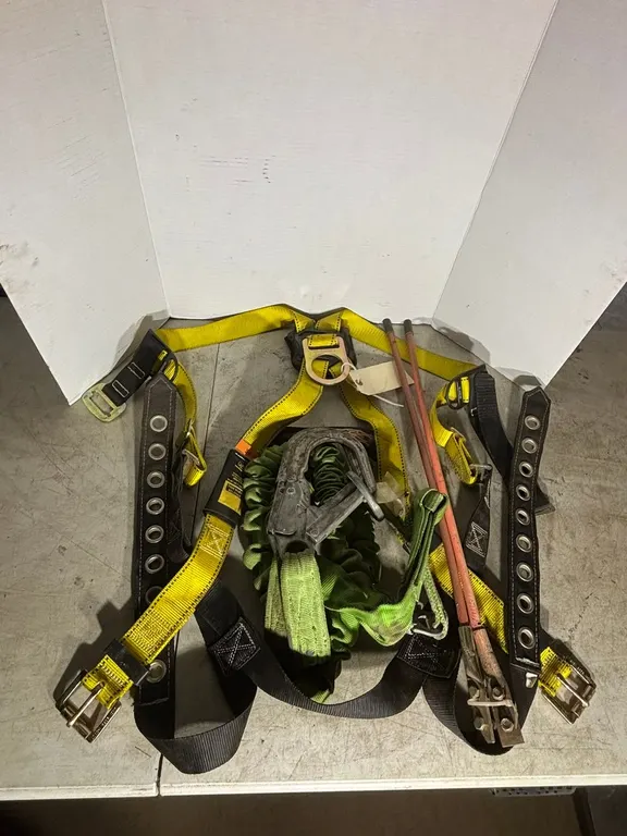 Lanyard and Harness