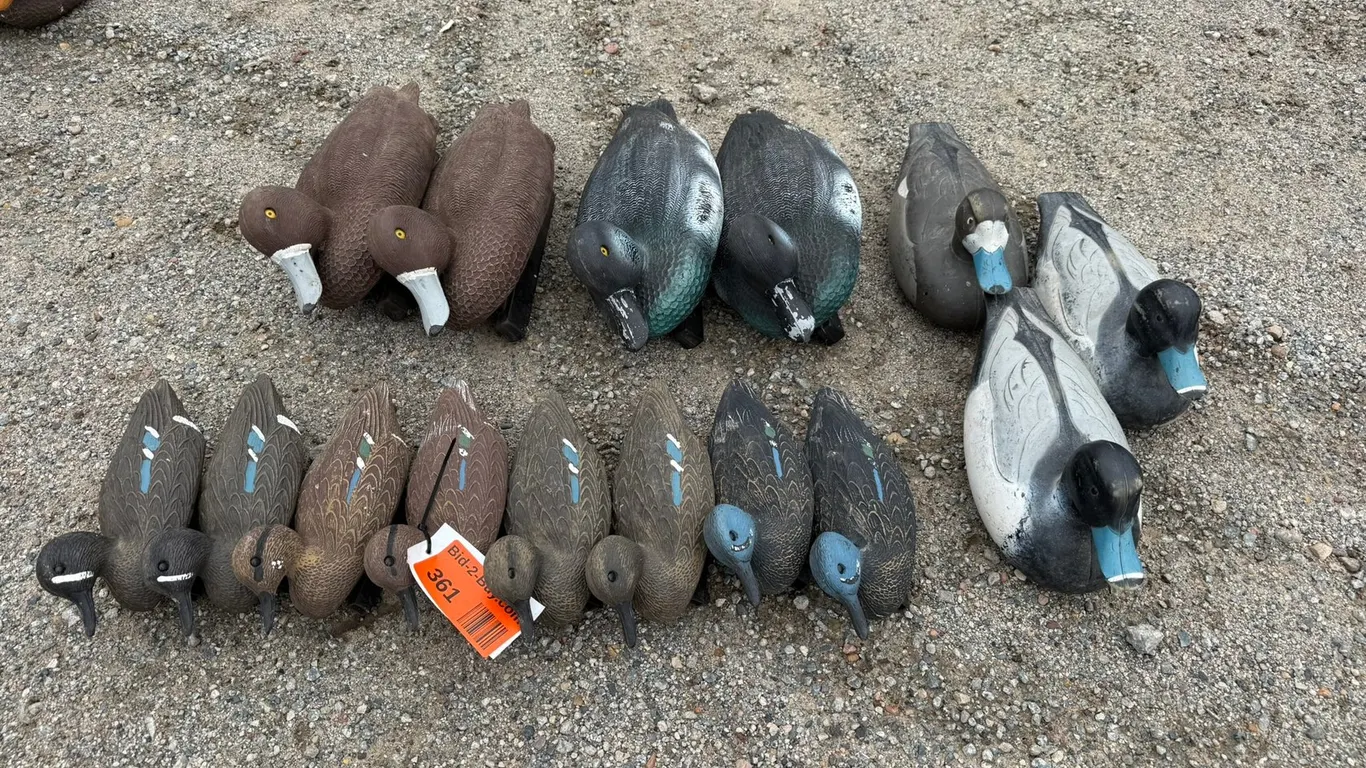 (15) Blue Wing Teal Duck Decoys